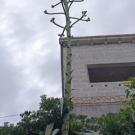 Apartmarin Trogir Kültér fotó