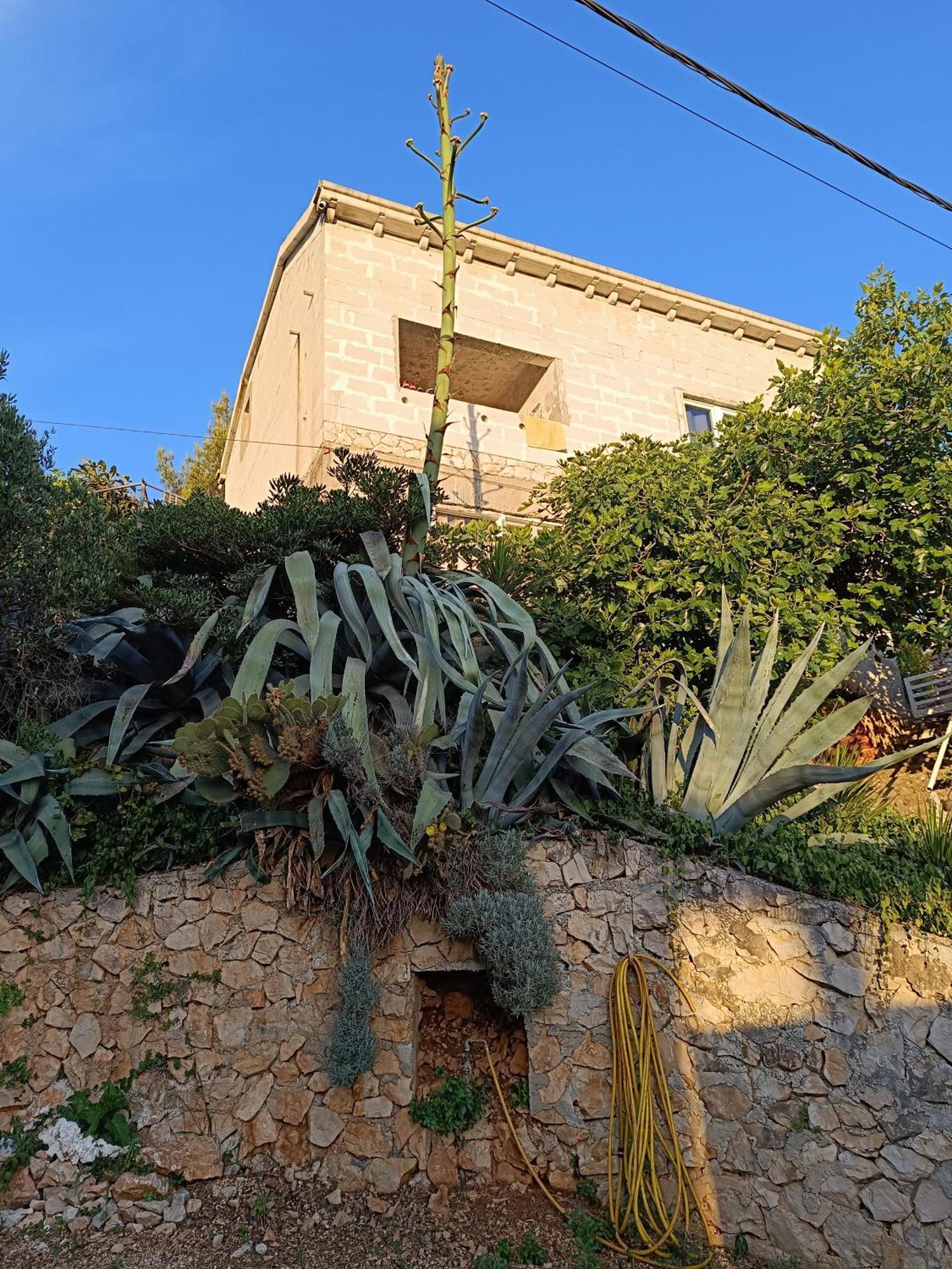 Apartmarin Trogir Kültér fotó