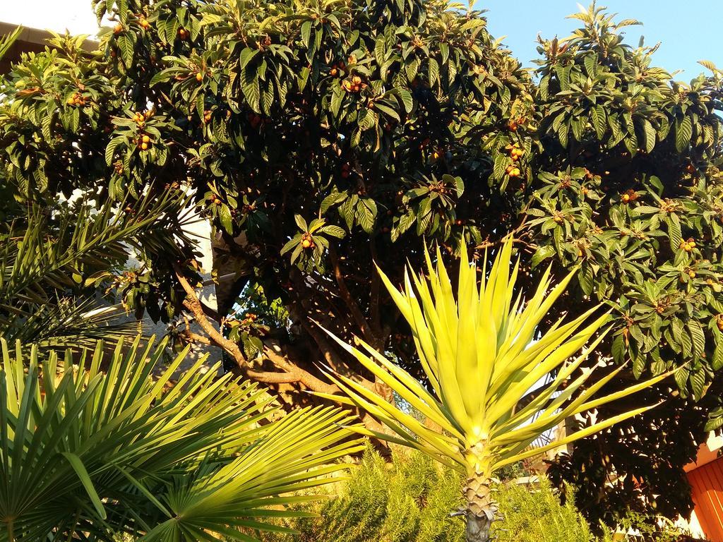 Apartmarin Trogir Kültér fotó